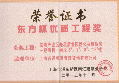 “东方杯”优质工程奖-临港公租房一期