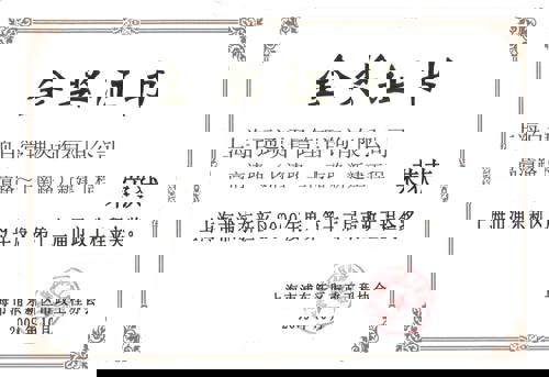 2009年度市政工程金奖-高清路（长清路-上南路）新建工程