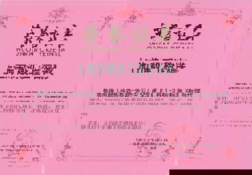 杨高南路（高科西路-外环立交）改建工程1标-3标施工招标代理-2020-2021年度优秀工程招标代理项目